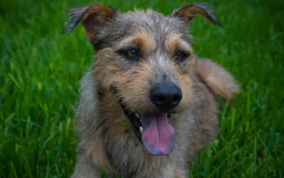 Maggie’s Story