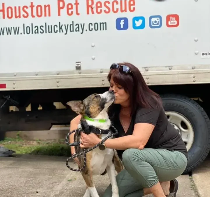 Meet Houston Petset Grantee Partner: Lola’s Lucky Day