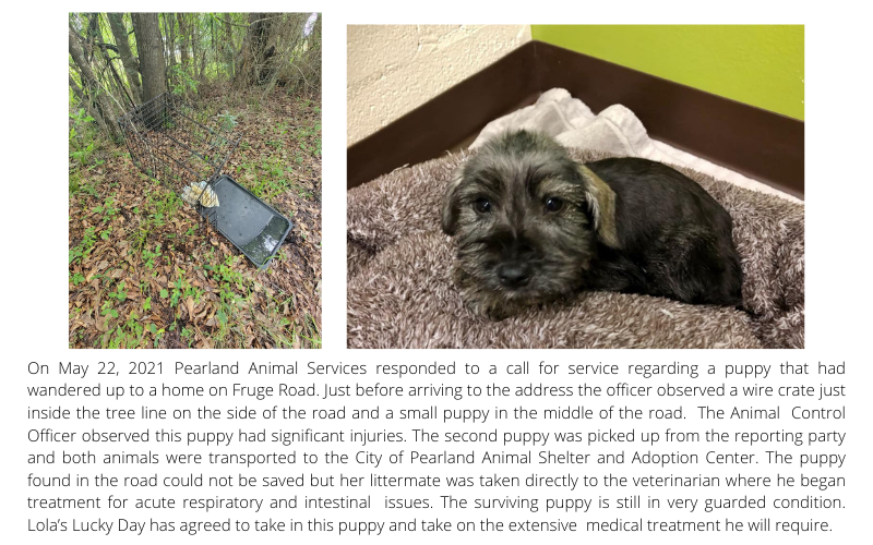 Abandoned dPupy
