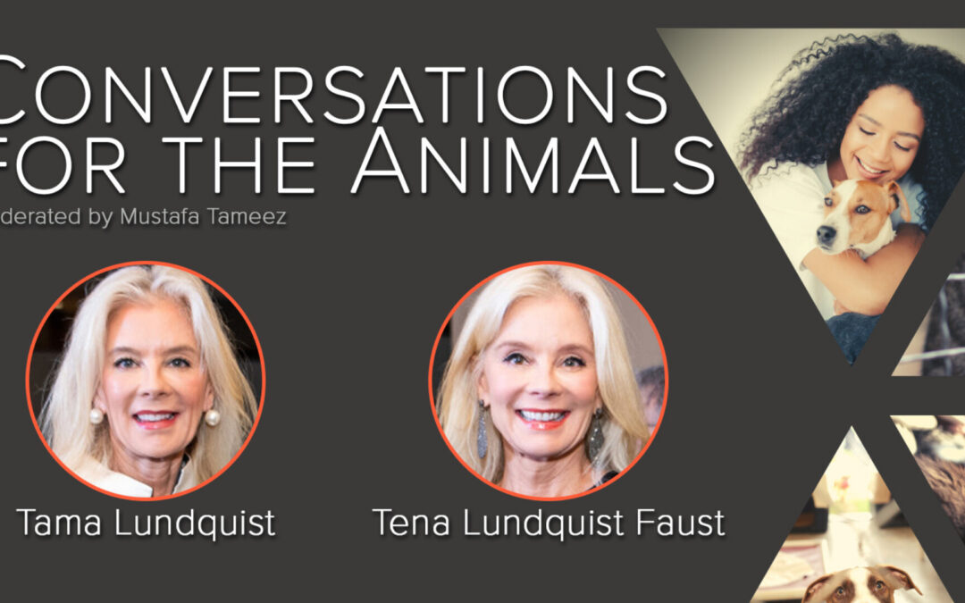 Conversations For The Animals: Covid’s Impact On Animal Welfare