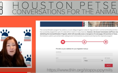 Conversations For The Animals: Shelby Bobosky Of Texas Humane Legislation Network
