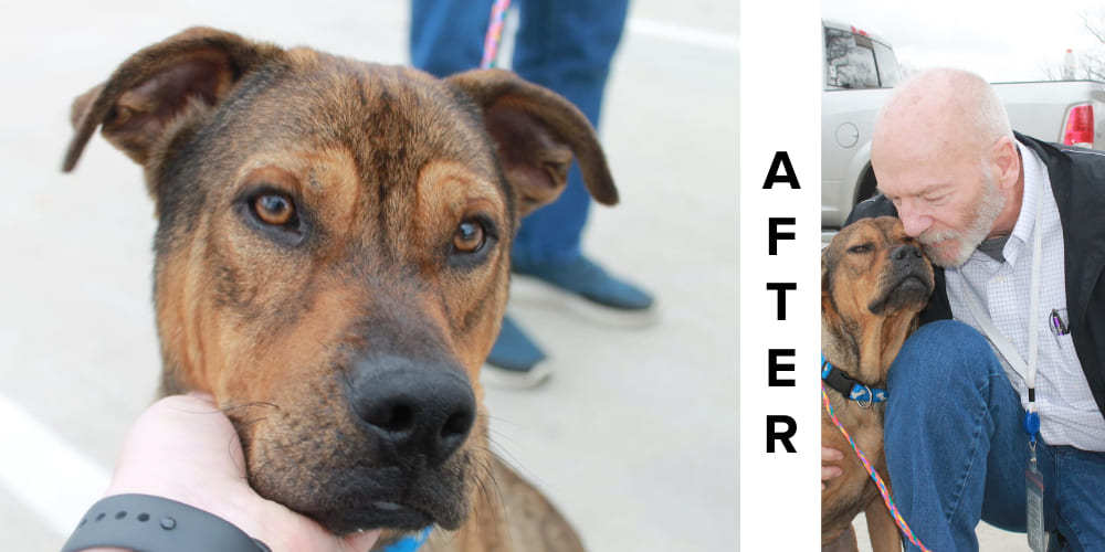 Duke After (1) Duke After (1)