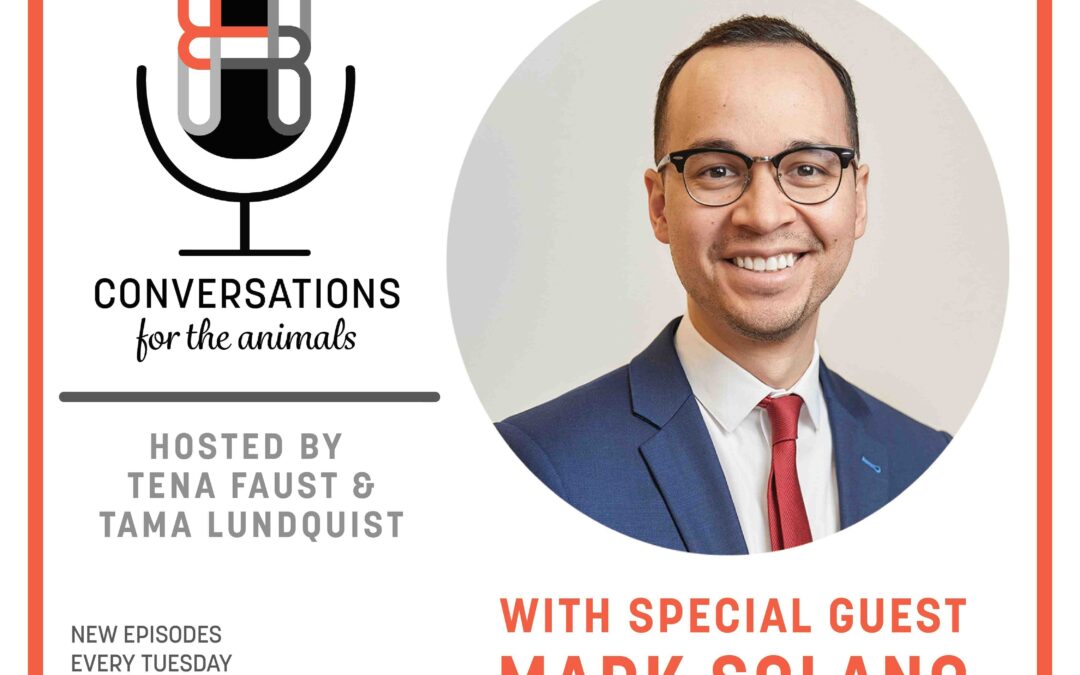Listen To The Premiere Episode Of Conversations For The Animals Today!