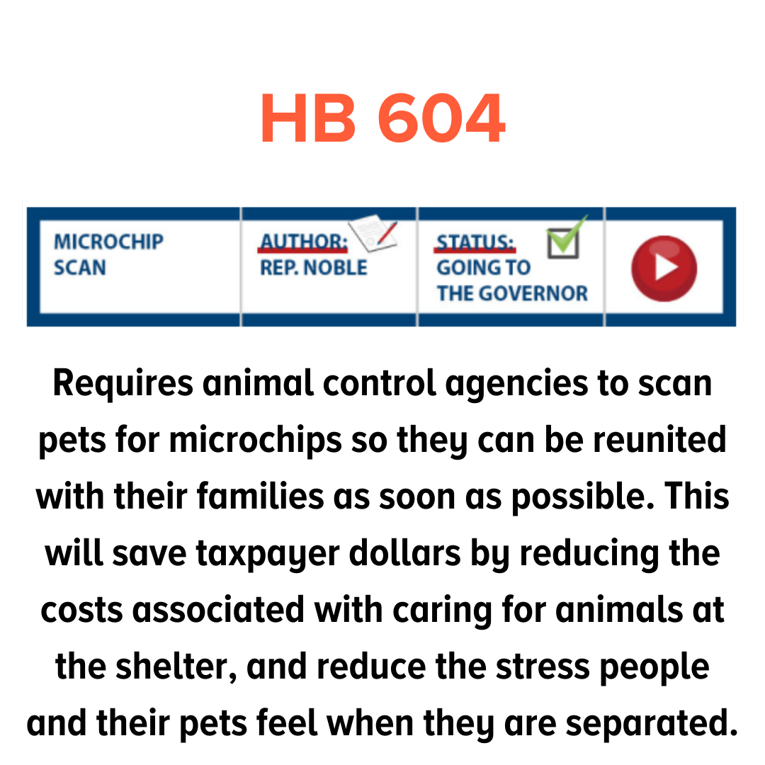 HB 604