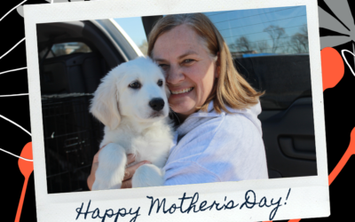 A Foster Mom’s “why” On Mother’s Day