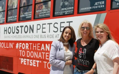 Kprc: Pet Food Donation Drive