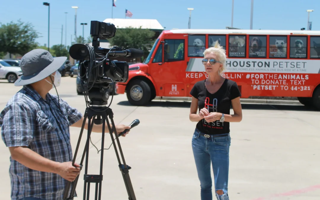 Ktrk: Houston Petset Hosts Animal Food Drive