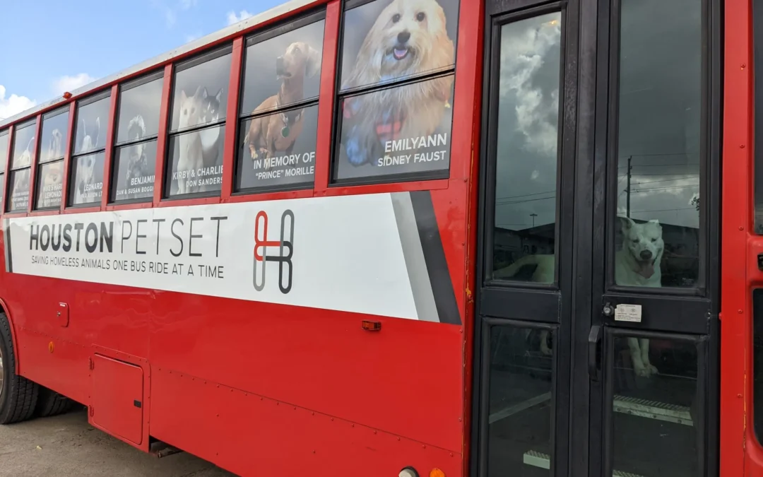 The Future Of Rescue Transports At Houston Petset