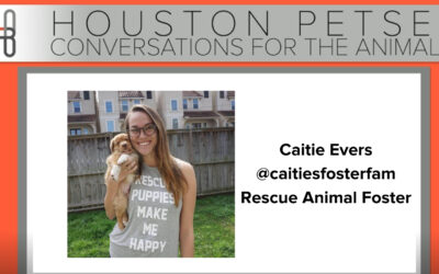 Conversations For The Animals: Caitie Evers, @caitiesfosterfam