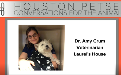 Conversations For The Animals: Dr. Amy Crum Of Laurel’s House