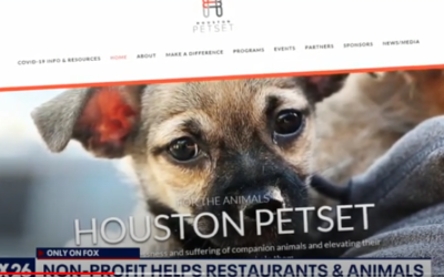 Houston Petset’s Takeout & Take Me Home Adoption Campaign