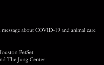 Preparing For The Next Phases Of Covid-19